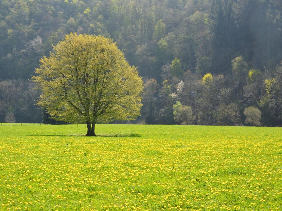 Independant Gite At The Calm Way In The Center Houffalize Buitenkant foto