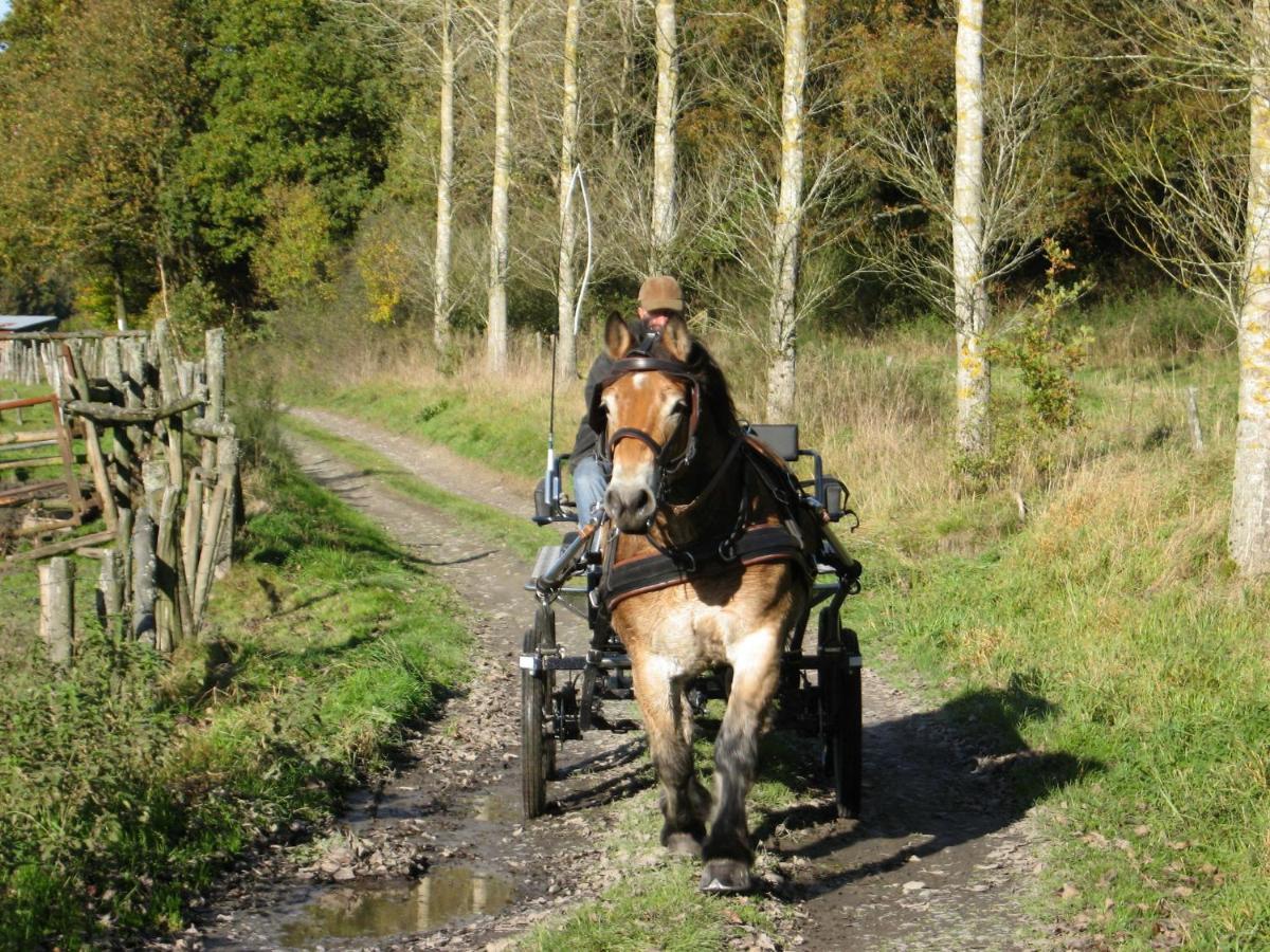 Independant Gite At The Calm Way In The Center Houffalize Buitenkant foto